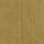 Shaw 54927 Philadelphia Commercial Encrypt 18" X 36" Glue Down - Vector New. Price: $228.65.