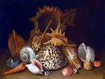 Still Life Sea Shells Tile Mural Kitchen Bathroom Wall Backsplash Marble Ceramic New. Price: $199.99.