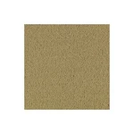 Shaw 54462 Philadelphia Commercial Color Accents Tl 24" X - Pecan New. Price: $328.60.