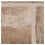 Shaw 390TS Bowery - 3" X 10" Floor And Wall Tile Sold By Carton Clay New. Price: $98.86.