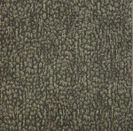 Shaw Olive Green Carpet TILE-24"X 24"(12 Tiles/case, 48 Sq. Ft./case) New. Price: $129.99.