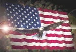 Ceramic Backsplash Tile Mural Bird Of Prey - American Eagle And Flag New. Price: $270.00.