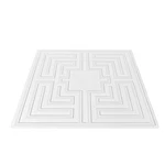 Ceiling Tiles, 12-PACK 24 X In, Drop Premium Pvc Sheet, Easy New. Price: $66.02.