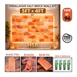 Himalayan Pink Salt Wall Kit 5X4 (20 Sq Ft) Bricks Spa New. Price: $840.00.