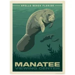 Manatee Apollo Beach Florida Decal Peel And Stick Decor New. Price: $11.99.