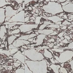 Ackland AKNPTVEN24X48P-CA-SAMPLE Only Of Amarith New. Price: $12.10.