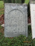 Galvanized Ceiling Tile From House Built 1930'S Used. Price: $15.00.
