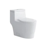 Fine Fixtures Dual-flush Elongated One-piece Toilet With High Efficiency New. Price: $321.09.
