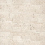 Ackland AKPLPT9X24F-PL 9" 24" Travertine Hardscape Wall Tile Casella Cream New. Price: $1420.69.