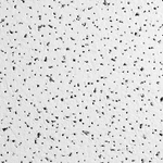 Armstrong 1734 Ceiling TILE,24 L,24 W,PK16 6YLR4 New. Price: $164.60.