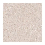 Armstrong Vinyl Composition TILE,45SQ.FT,BEIGE, PK45 51809031 New. Price: $110.75.