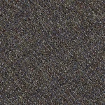 Shaw J0111 Philadelphia Commercial Change Attitude Tile 24" X - Adrenaline New. Price: $256.63.