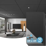 Premium 10-PACK 2X4 Ft Fire-rated Drop Ceiling Tiles Black, Waterproof New. Price: $222.99.