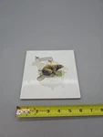 Canadian Beaver Tile Trivet 6 Wall Hanging Cork Backed Euc Used. Price: $11.85.