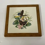 Incepa Ceramic Pottery Tile Brazil Framed Holmes Gray Butterflies Butterfly Used. Price: $16.99.