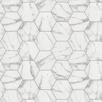 Shaw 490TS Point And Verge - 8" 9" Hexagon Floor Wall Tile Statuary New. Price: $69.47.
