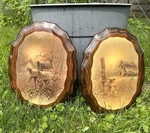 Vintage Pair Of Wood Shellac Wall Art Plaques Rural Farm Barn Wildflowers Rustic Used. Price: $24.00.