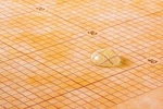 Schluter Kerdi Membrane 323 Sf New. Price: $350.00.