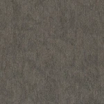 Shaw 54956 Contender 24" X Glue Down Commercial Carpet Tile - Challenger New. Price: $142.67.