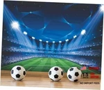 Jdayda Soccer Stadium Wallpaper Large Art 149" X 107" MURAL-0053 New. Price: $191.75.