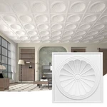 ART3DWALLPANELS Ceiling 12 Pack Drop Tiles, 24 X Inch High Grad New. Price: $85.62.