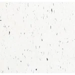 Armstrong 51941031 Vinyl Floor Tiles, 12 W, L, Polar White, Square, New. Price: $83.19.