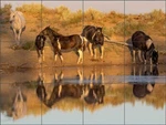 Horse Tile Backsplash Carol Walker Equine Photography Ceramic Mural POV-CJW004 New. Price: $235.00.