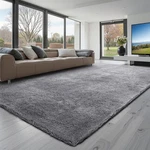 Vevor Indoor Plush Area Rug 8 X 10FT Grey Carpet For Living Bedroom New. Price: $56.90.
