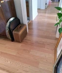 *new* Box Oak Select Grade Engineered Prefinished Hardwood Flooring Usa. Price: $115.00.