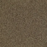Shaw 54594 Philadelphia Commercial Multiplicity Tile 24" - Exuberance New. Price: $171.90.
