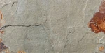 Ackland AKTLT12X24G-CA-SAMPLE Only Of Sierra Gold New. Price: $12.62.