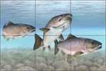 Atlantic Salmon Tile Backsplash Tim Knepp Fish Art Ceramic Mural TKA002 New. Price: $125.00.