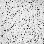 Armstrong 2195 Ceiling TILE,24 L,24 W,PK16 13Z997 New. Price: $172.50.