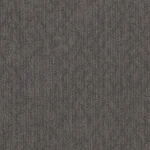 Shaw 54961 Rare Essence 24" X Glue Down Commercial Carpet - Footing New. Price: $165.60.