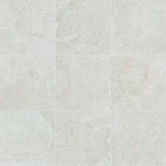 Shaw 224TS Crown - 13" Square Floor And Wall Tile Matte New. Price: $44.23.