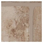 Shaw 390TS Bowery - 3" X 10" Floor And Wall Tile Sold By Carton City New. Price: $98.86.