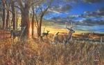 Ceramic Backsplash Tile Mural Deer Elk Kitchen/bathroom - Out For The Evening New. Price: $270.00.