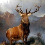 12 X Art Wildlife Colorful Deer Mural Ceramic Backsplash Bath Tile #2382 New. Price: $52.51.