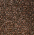 Shaw 00713 Rust Carpet Tile. 48SQ.FT./CASE New. Price: $129.99.