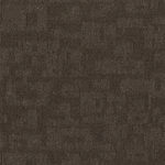 Shaw 54948 Forma 24" X Glue Down Commercial Carpet Tile - Comparison New. Price: $186.67.