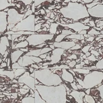 Ackland AKNPTVEN24X48P-CA Ventara 24" 48" Porcelain Solid Amarith New. Price: $109.87.
